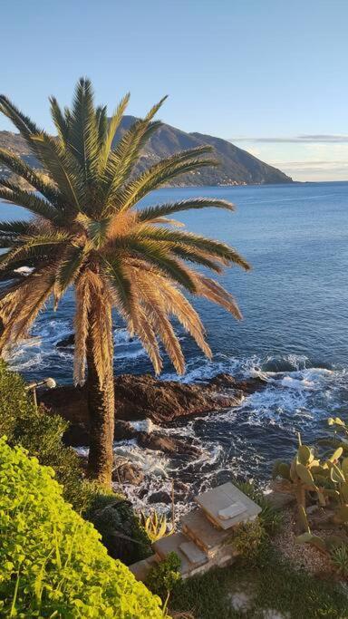 Appartamento Casa Al Mare A Recco Esterno foto
