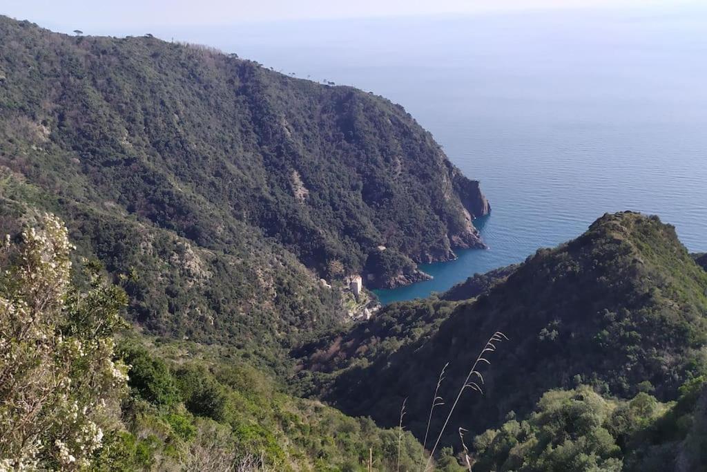 Appartamento Casa Al Mare A Recco Esterno foto